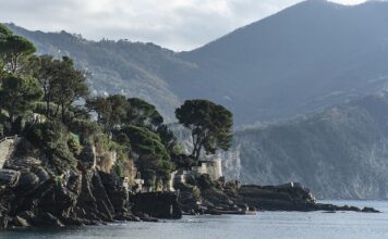 Ile kosztuje baza danych Oracle? Ile kosztuje baza danych Oracle?