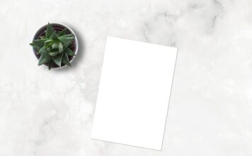 Gdzie umieścić portfolio grafika? Gdzie umieścić portfolio grafika?