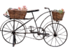 Czy png to krzywe? Czy png to krzywe?