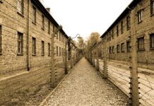 Jakie eksperymenty robiono w Auschwitz?
