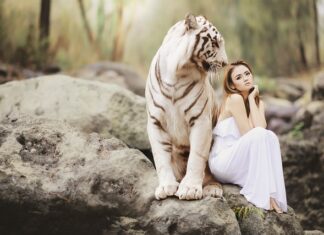 Czy firma podlega ochronie?