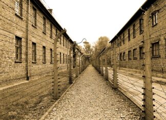 Co Niemcy mówią o Auschwitz?