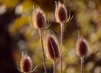 Co musi być w nazwie firmy? Co musi być w nazwie firmy?
