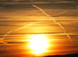 Co gdy żyrant umiera?