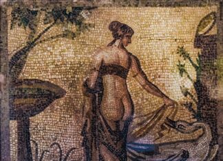 Czy NIP jest jeden na całe życie?